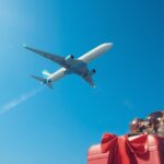 青空を飛ぶ飛行機と、下部に置かれた旅行用のボストンバッグやスーツケースを写した旅行・グッズカテゴリー用の画像